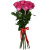 Букет из 7 малиновых роз